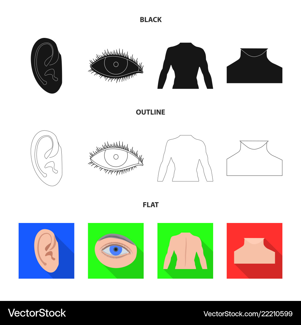 Isolated object of human and part sign collection Isolated object of human and part sign collection vector image