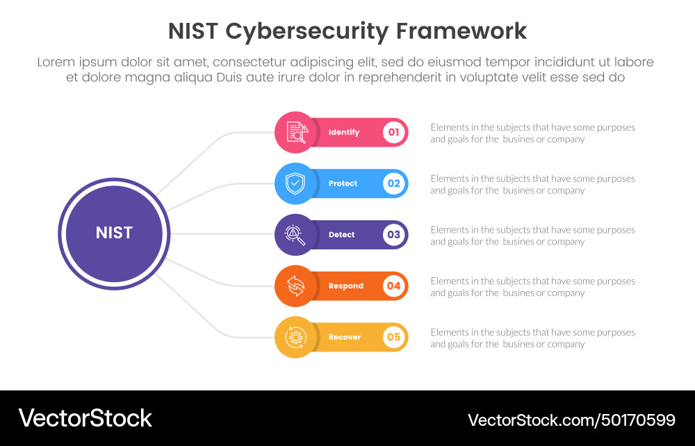 Nist cybersecurity framework infographic 5 point Nist cybersecurity framework infographic 5 point vector image