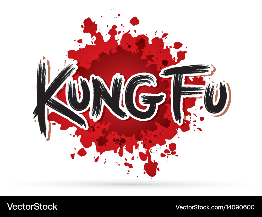 Dynamic Kung Fu Text Splash vector image