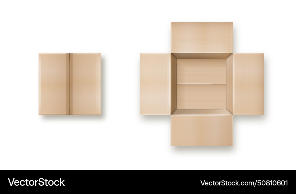 Box empty open and closed cardboard Box empty open and closed cardboard Vector Image