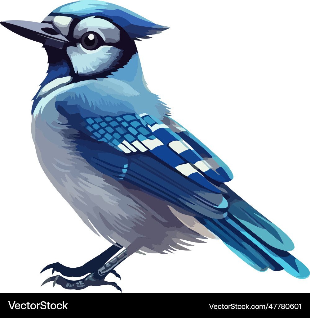 Cartoon blue jay bird nature icon Royalty Free Vector Image