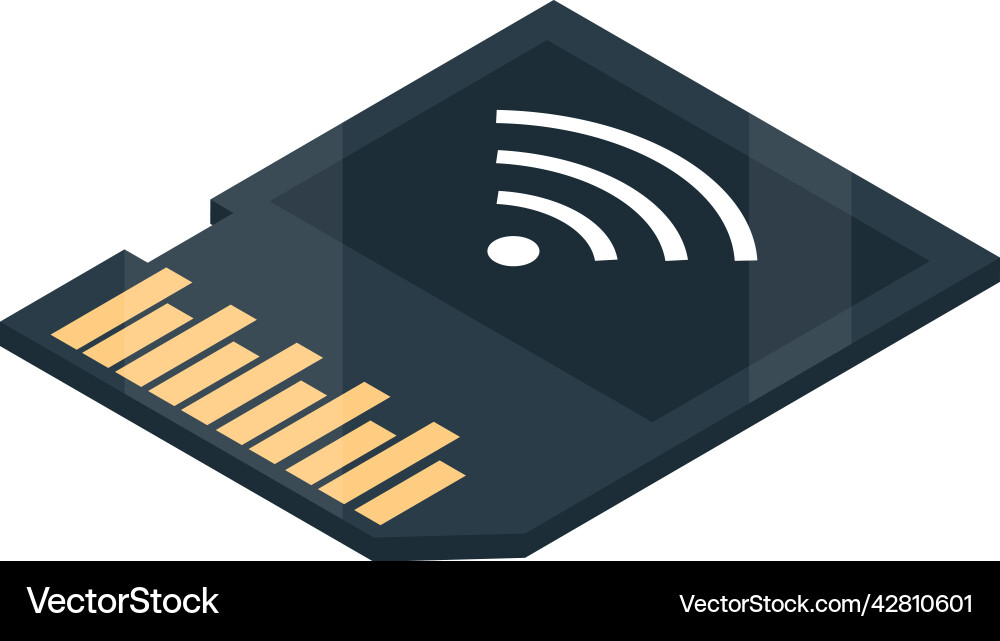 Sd memory wifi icon vector image