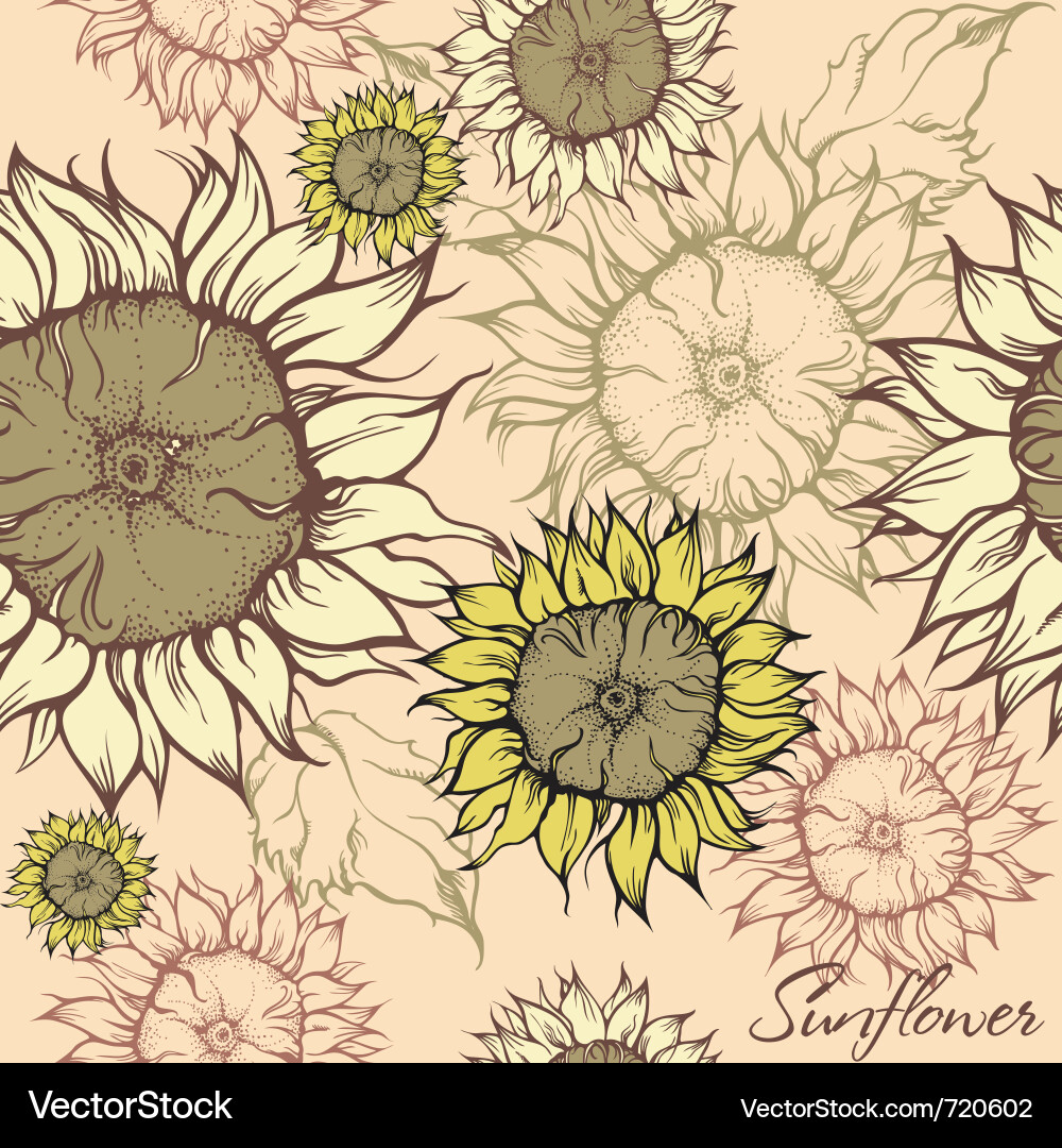 Sunflower Field Pattern Vector Image