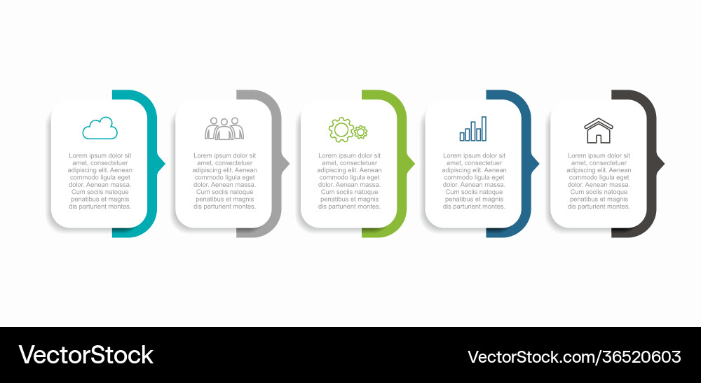 Modern Infographic Template - Data Visualization vector image