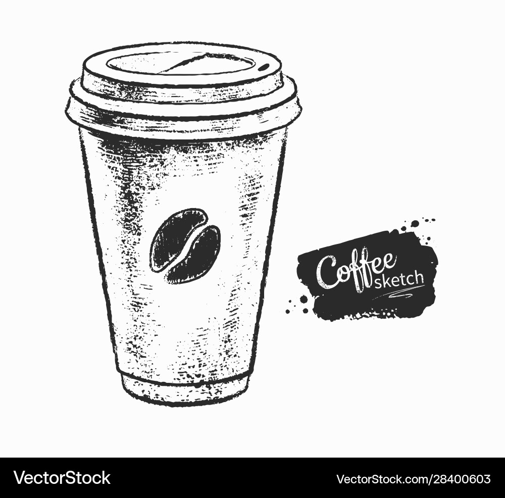 Paper coffee cup Royalty Free Vector Image - VectorStock