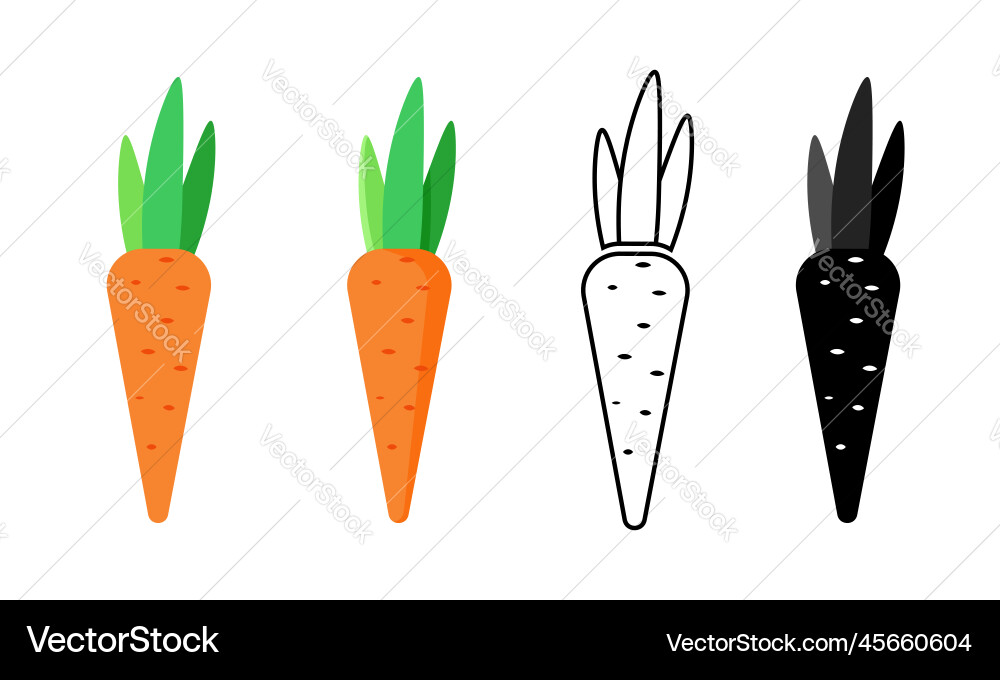 Carrot Set - Flat Style Vector Image
