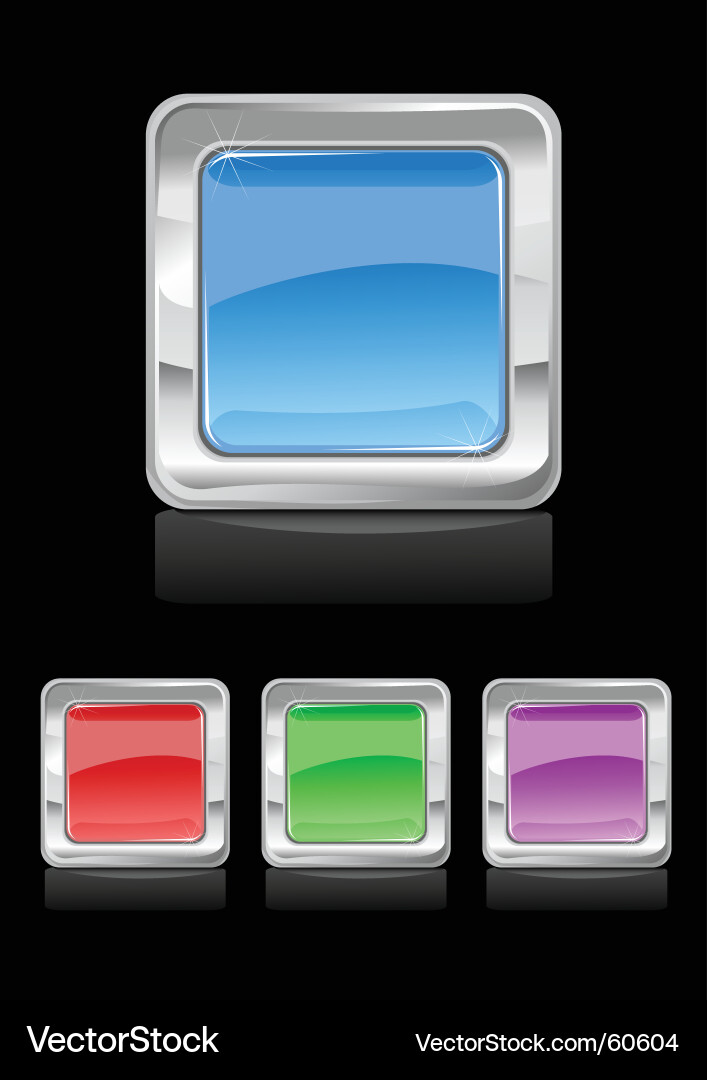 Chrome Button Icon vector image