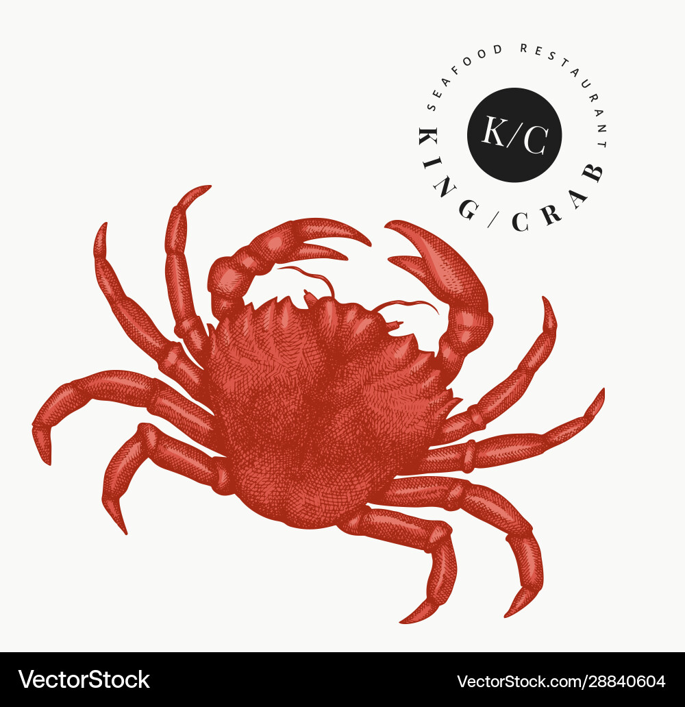 Crab hand drawn seafood engraved style Crab hand drawn seafood engraved style vector image