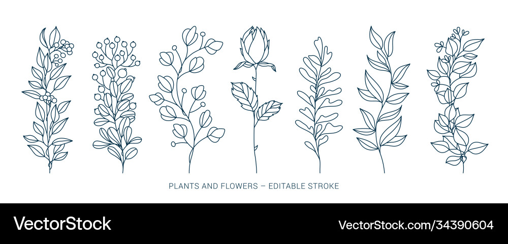 Set hand drawn curly grass and flowers on white vector image