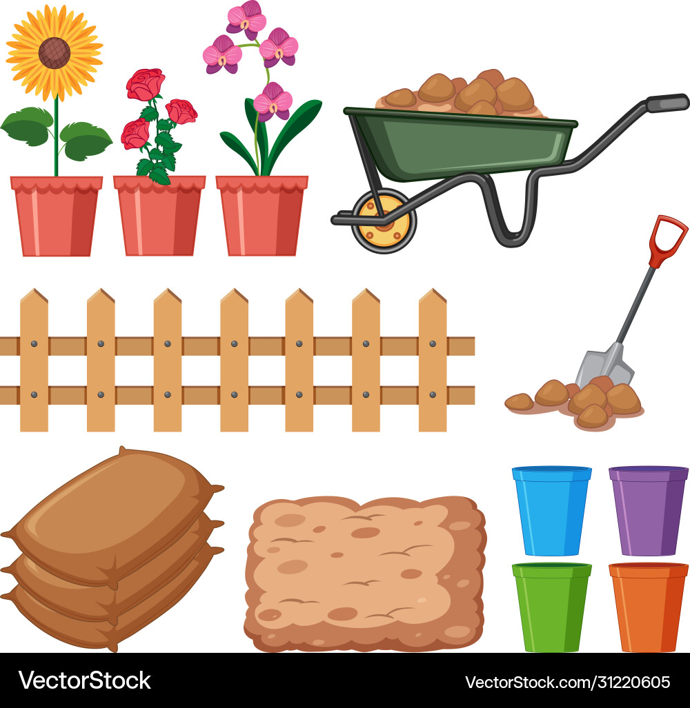 Schöne Blumen im Garten auf weiß Schöne Blumen im Garten auf weiß vektorbild