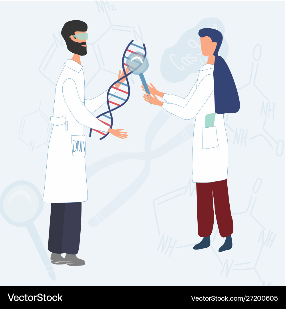 Scientists exploring dna structure Vector Image