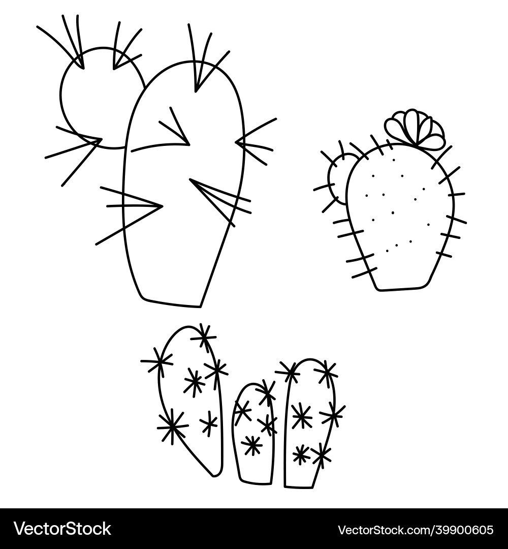 Set of three different contour cactus prickly Vector Image