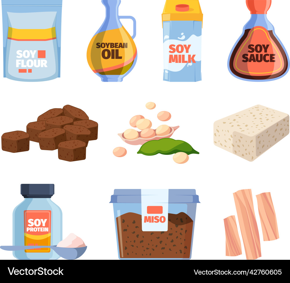 Soya Food Products - Bio & Vegetarisch vektorbild