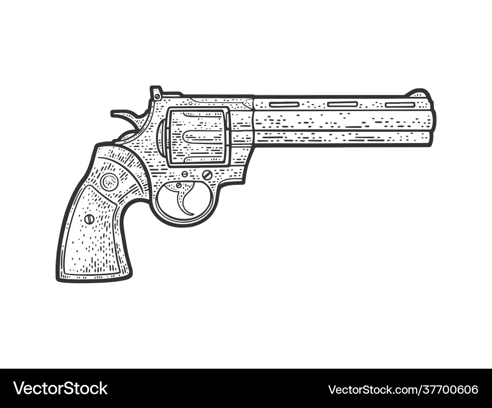 Colt python sketch vector image
