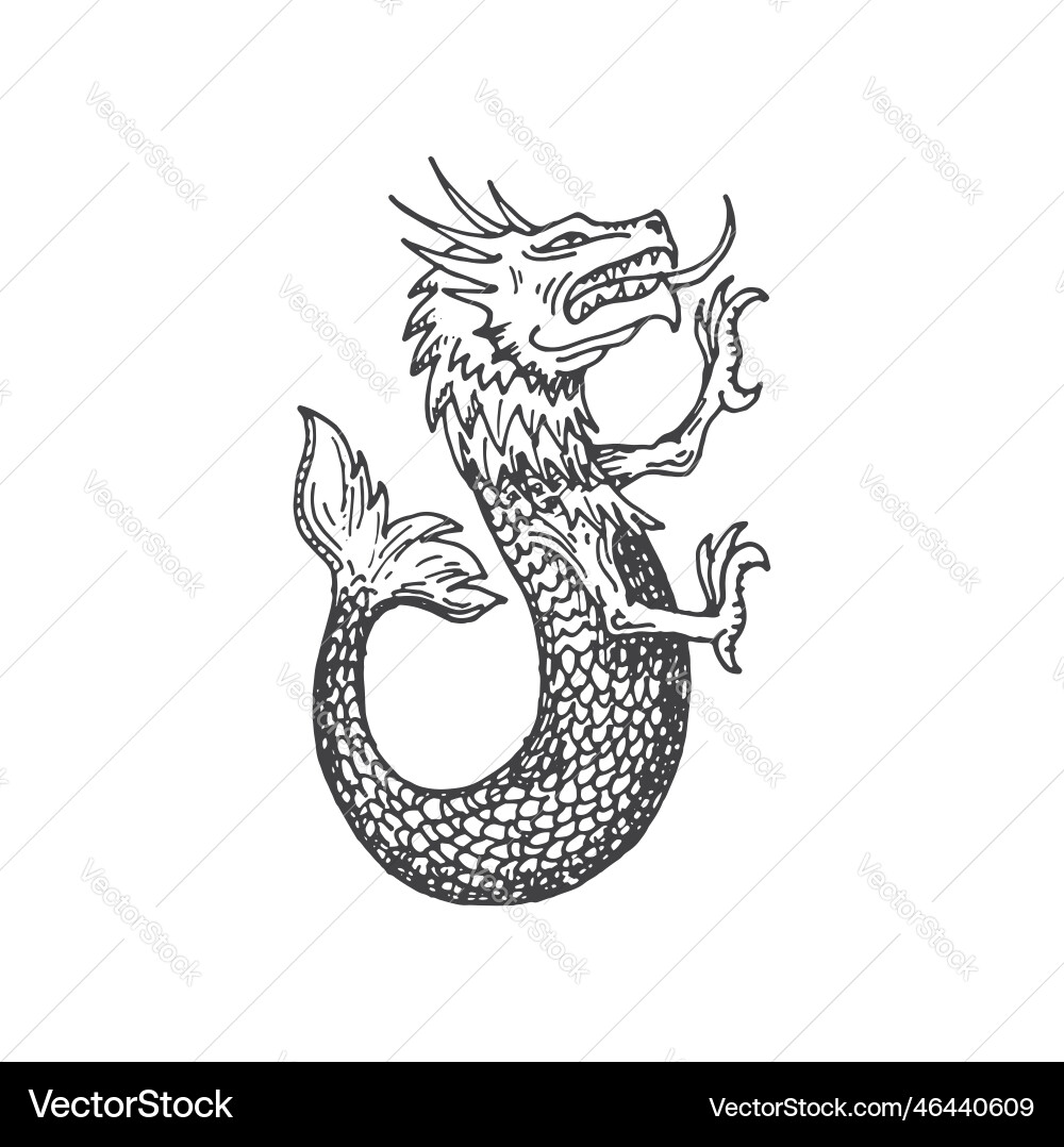 Heraldic animal medieval map sea monster sketch Vector Image