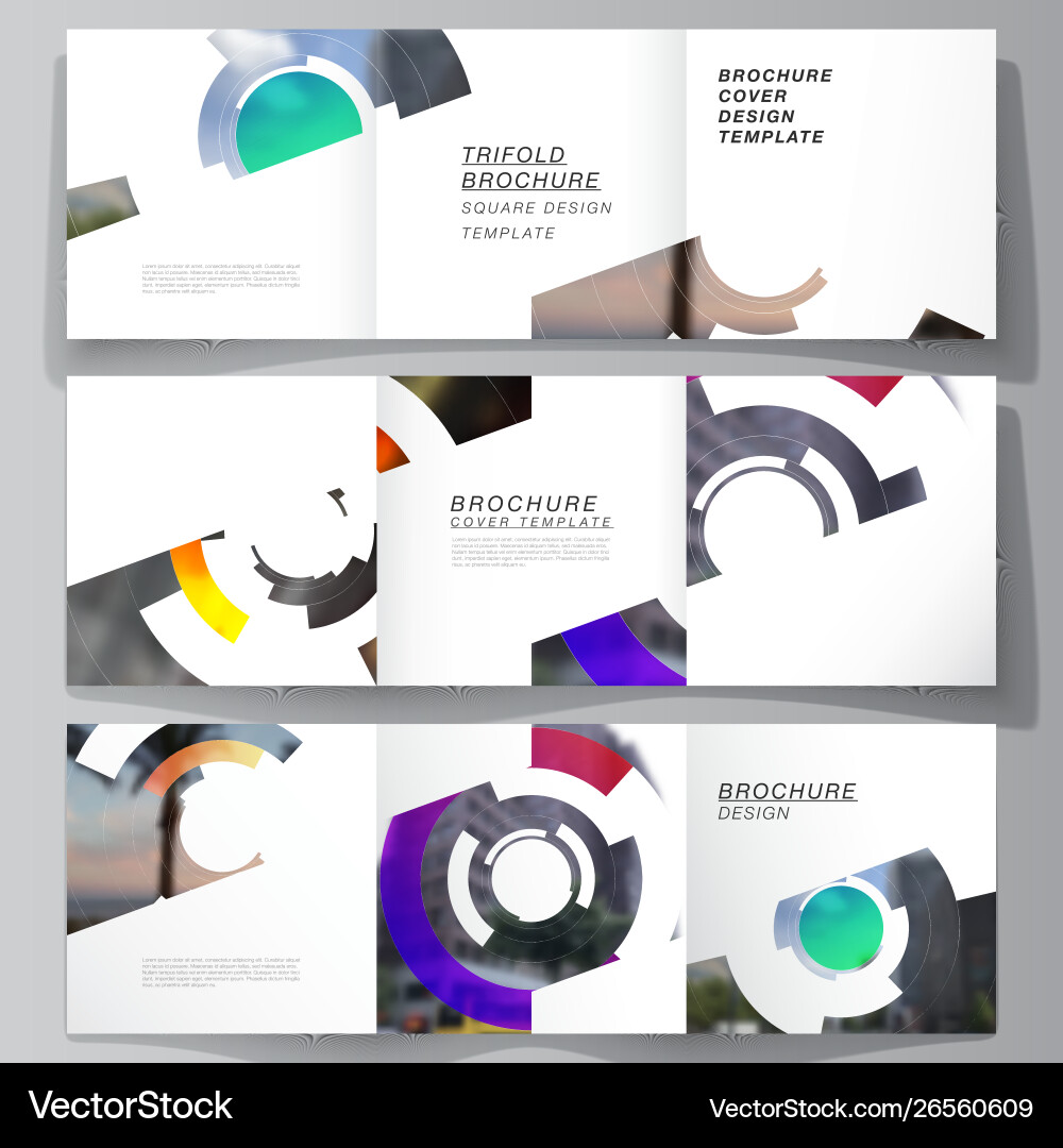 Minimal editable layout square Vector Image