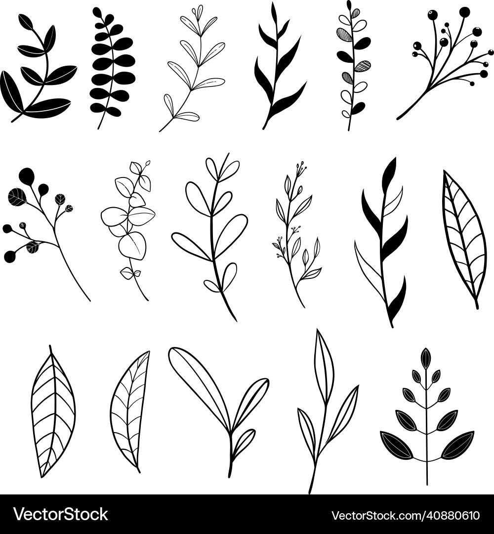 Leaf and twig line set Vector Image