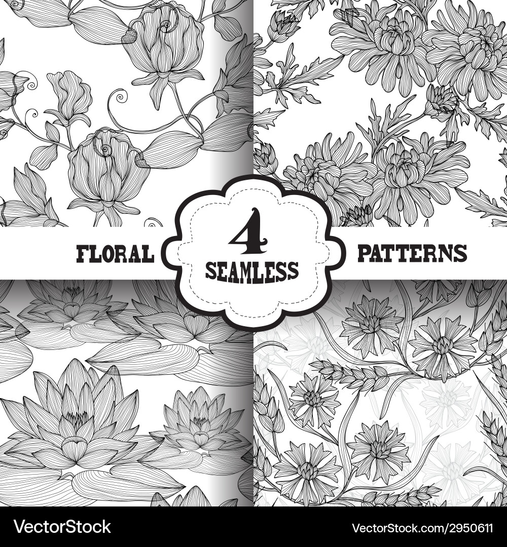 Seamless patterns set Vector Image