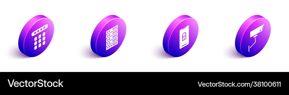 Set isometric password protection server data Vector Image