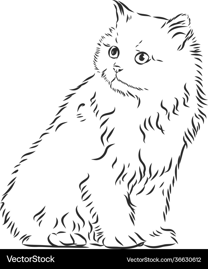 Sketch Of A Black Kitten Stock Illustration - Download Image Now - Domestic  Cat, Black Color, Illustration - iStock, image size:834x1080