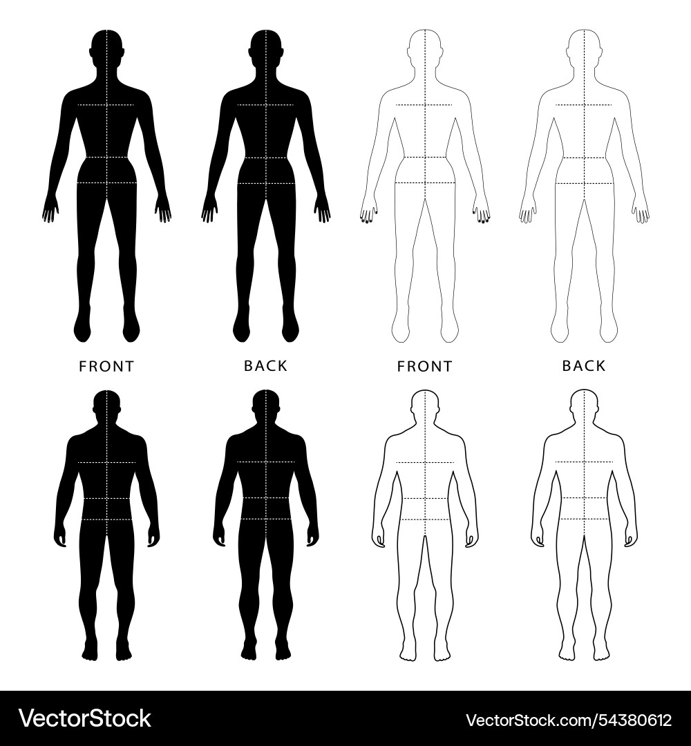 Fashion man woman full length template bald Fashion man woman full length template bald vector image