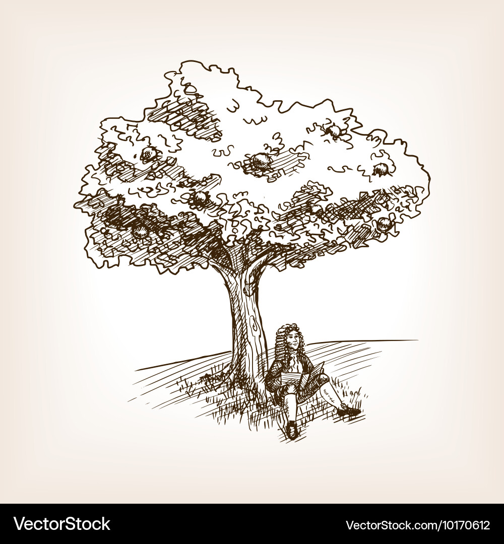 Medieval Scientist with Apple Tree Sketch vector image