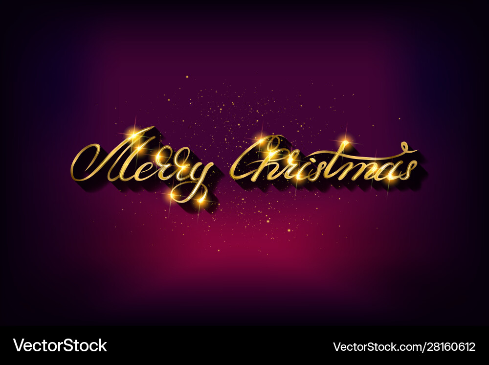 Merry Christmas Script Text vector image
