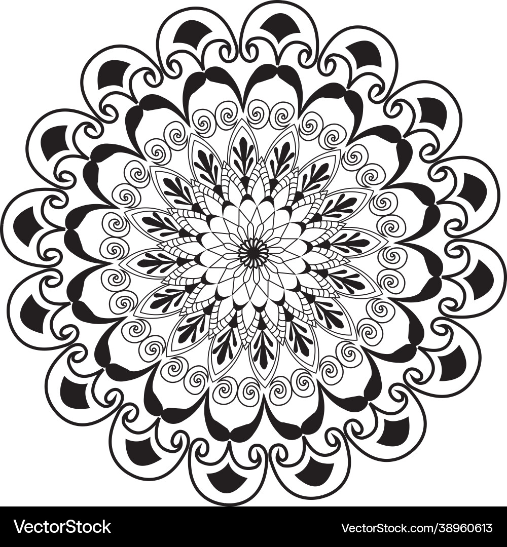 Circular pattern in form a mandala vector image