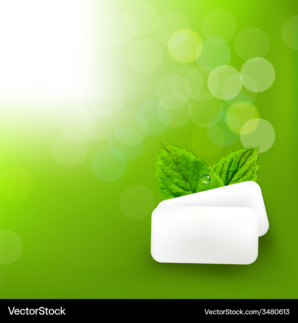 Mint gum with blur bokeh vector image