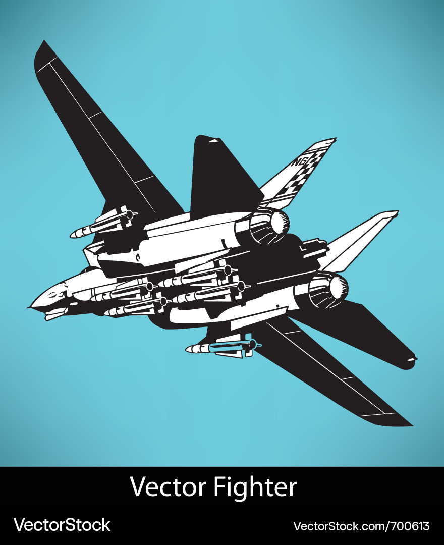 Modern Fighter Jet Vector Image