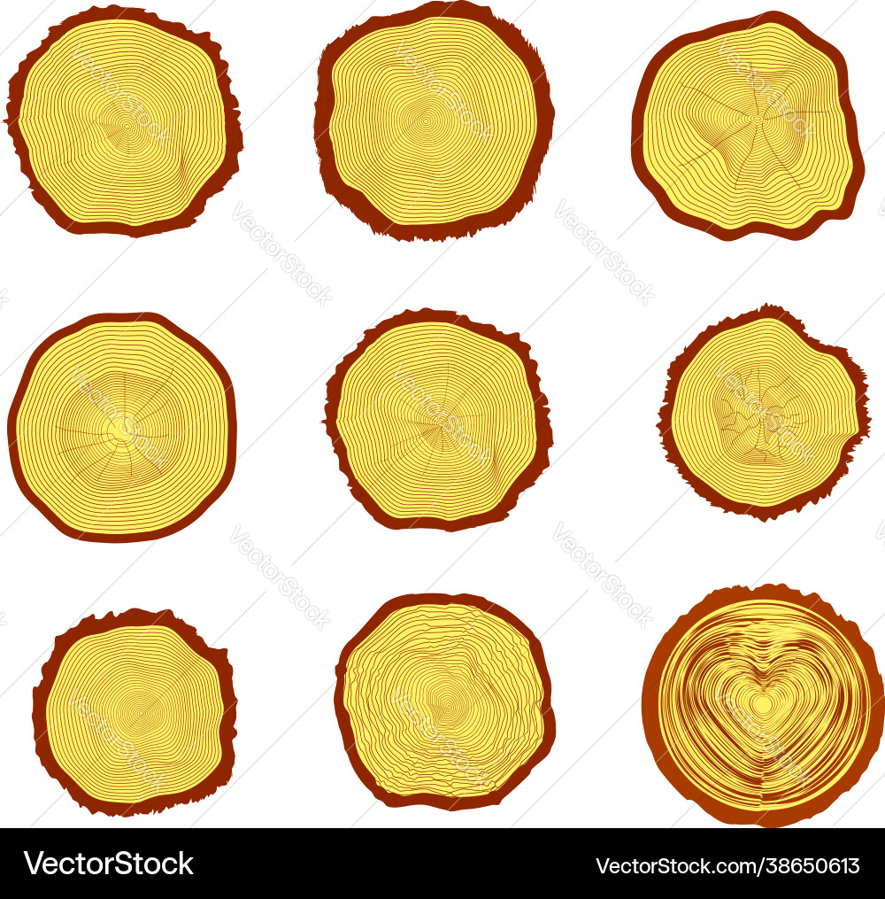 Set 9 cross section trunk with tree Set 9 cross section trunk with tree vector image