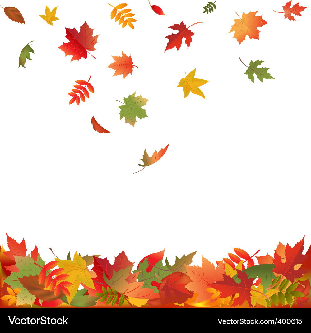Golden Autumn Leaves Vector Image