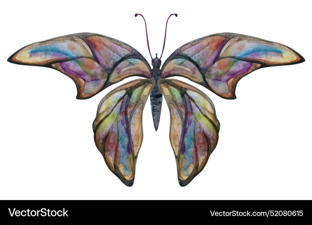 Hand drawn watercolor butterfly fairy wings gem Hand drawn watercolor butterfly fairy wings gem vector image