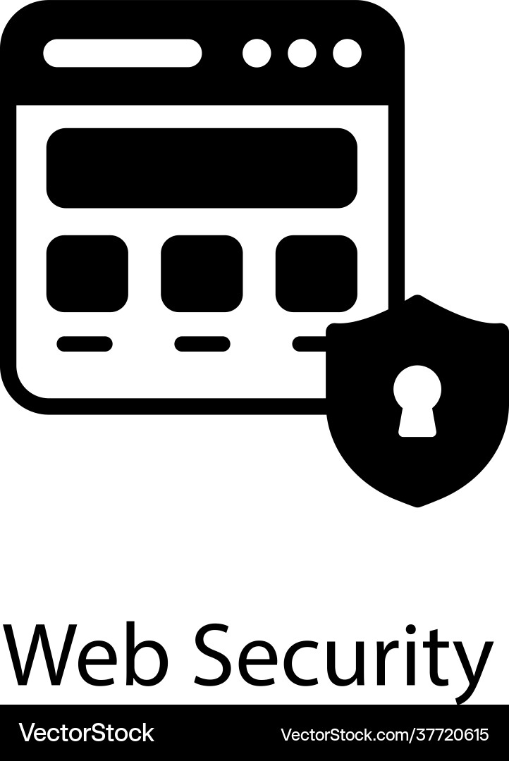 Web security Vector Image