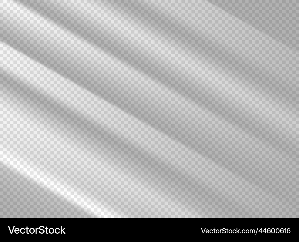 Shadows on transparent background shadow overlay vector image