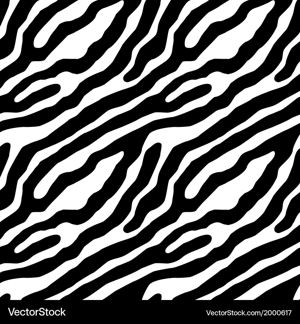 Zebra Striped Pattern vector image