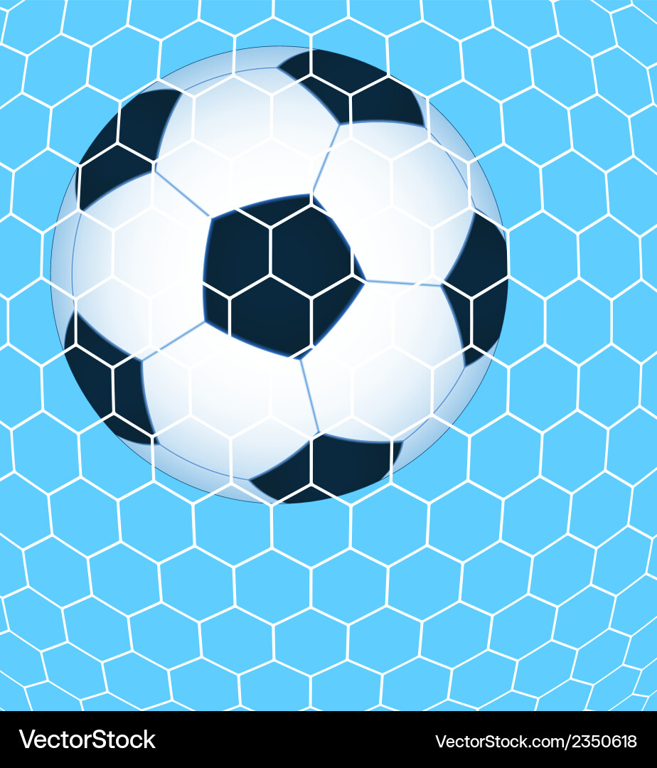 Ball in the net vector image