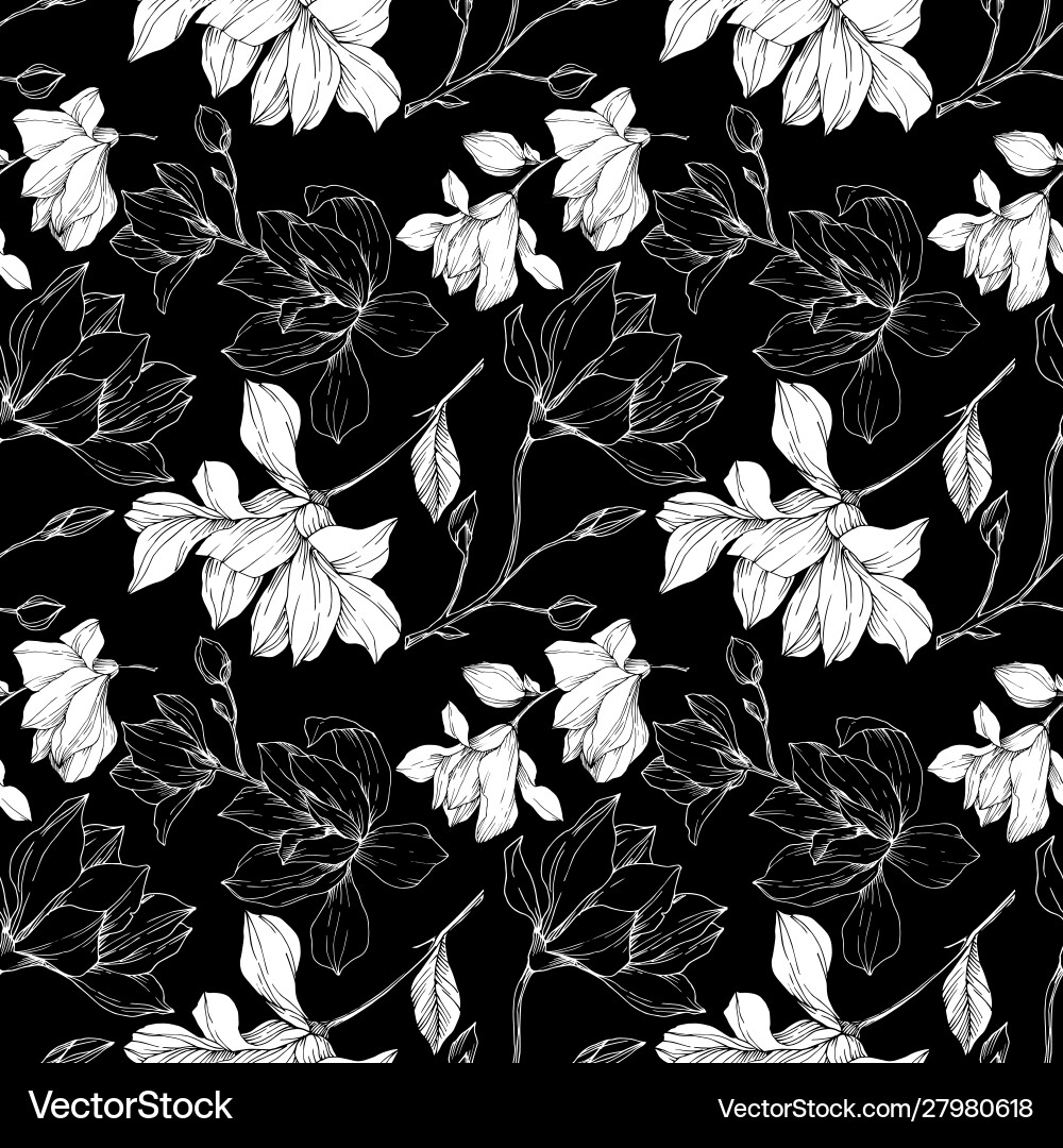 Magnolia Blumen botanische Blumen schwarz Magnolia Blumen botanische Blumen schwarz vektorbild