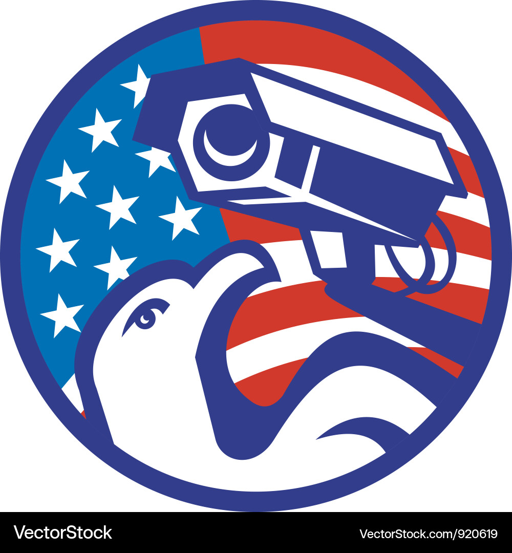 American bald eagle Royalty Free Vector Image - VectorStock