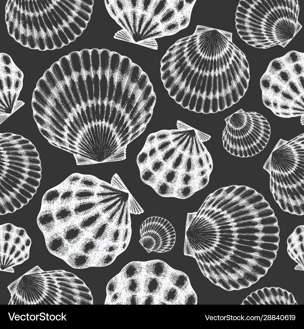 Seashell Seamless Pattern - Chalkboard Style vector image