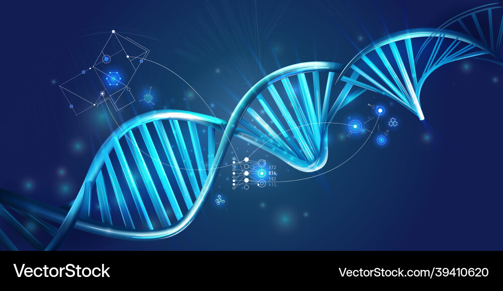 Glowing dna spiral and hud elements on a dark blue Glowing dna spiral and hud elements on a dark blue vector image
