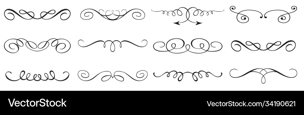 Calligraphic Swirls & Curls vector image