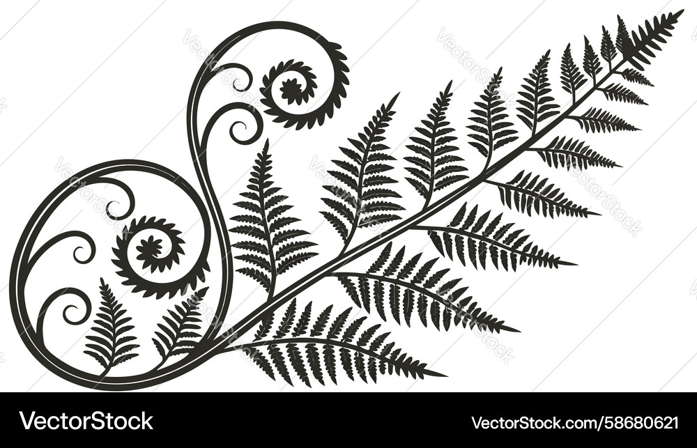 Intricate fern leaf with scrollwork pattern Vector Image