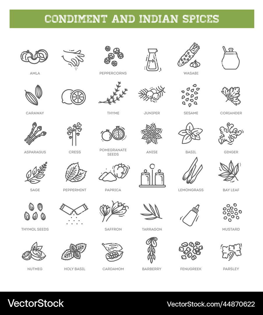 Condiment icons set Vector Image