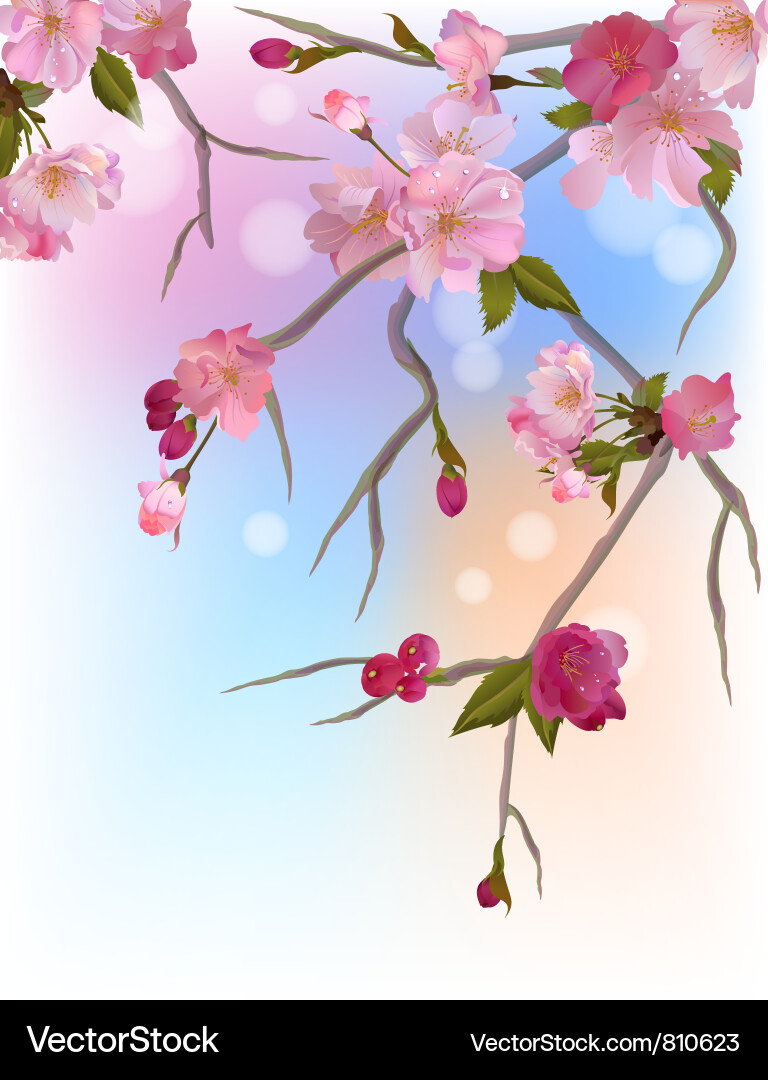 Background with gentle sakura branches Vector Image