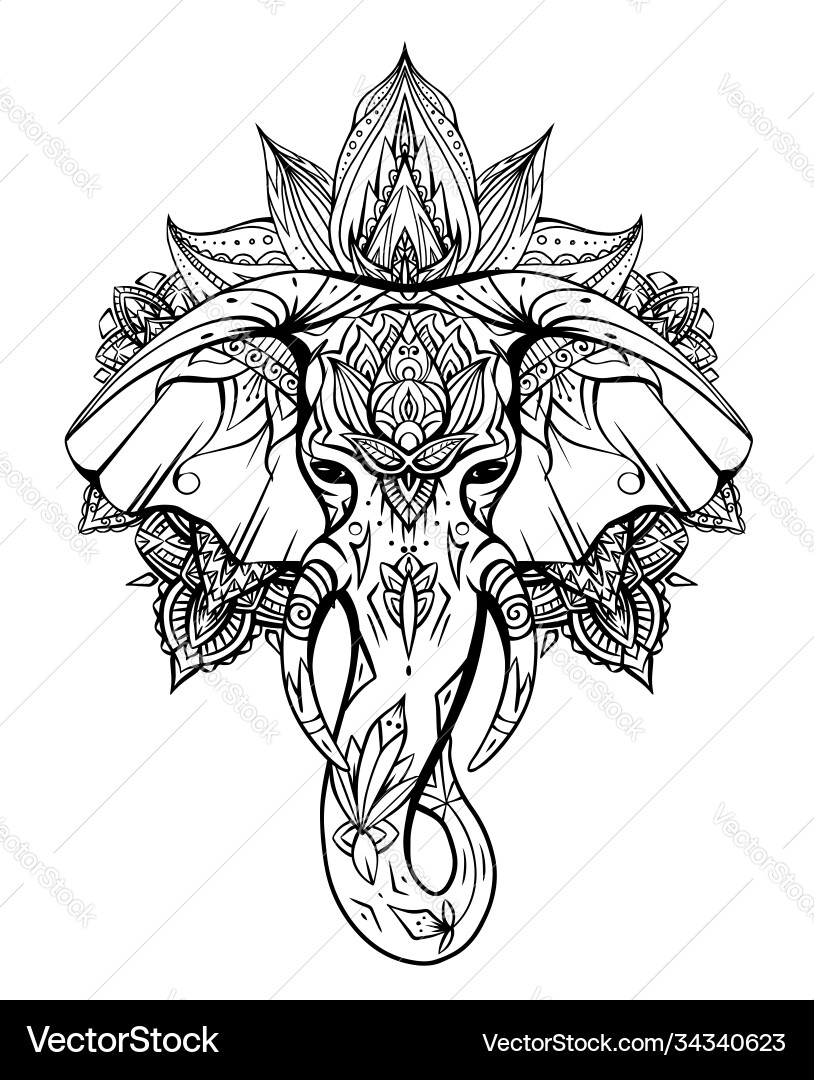 Contoured Boho Elephant Head vector image