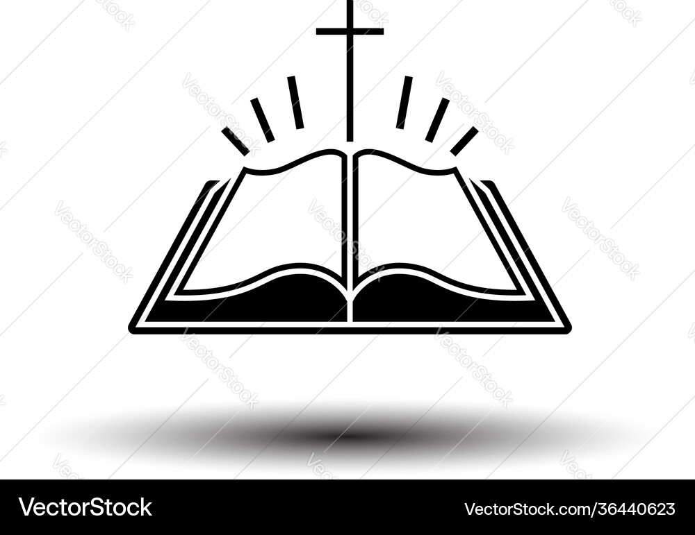 Holly bible icon vector image