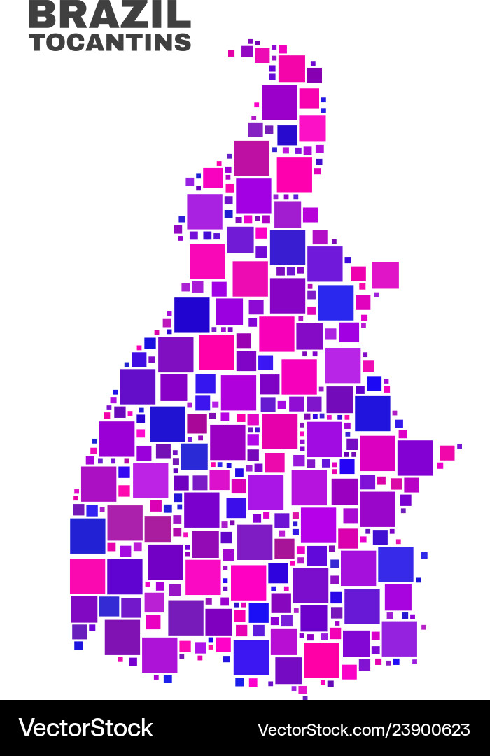 Mosaic tocantins state map of square items Mosaic tocantins state map of square items vector image