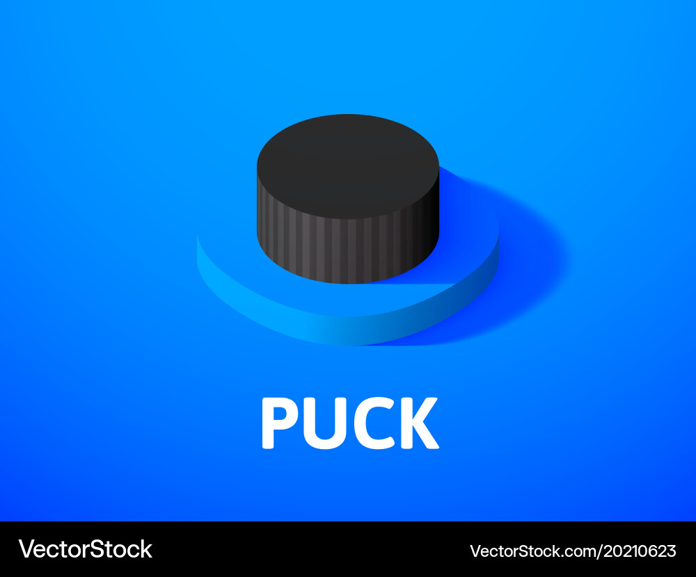 Puck isometric icon isolated on color background Vector Image