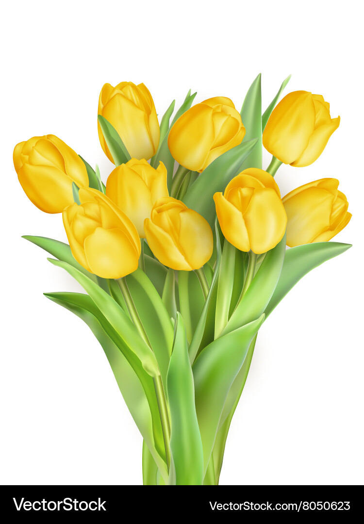 Spring card with space for text eps 10 Vector Image